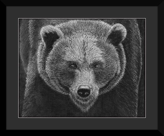 Black Bear Original