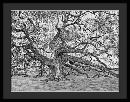 Old Oak Tree Original